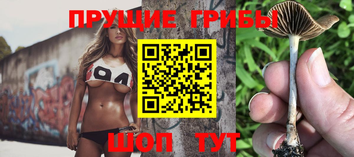 Псилоцибиновые грибы Magic Shrooms Каменка